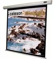 celexon 1090065, celexon Leinwand Motor Economy 180 x 180 cm - 100"