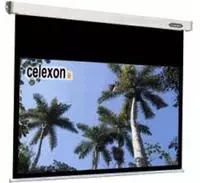 Celexon Beamer-Leinwand Motor Professional, 122 Zoll, 270 x 152 cm, Format 16:9,