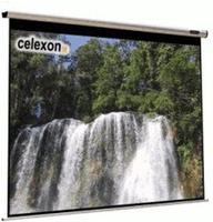 celexon 1090111, celexon Leinwand Motor HomeCinema 220 x 220 cm