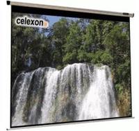Celexon Motor HomeCinema 1090110 Motorleinwand 194 x 194cm Bildformat: 1:1