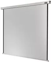 Celexon Beamer-Leinwand Motor Professional, 120 Zoll, 215 x 215 cm, Format 1:1,
