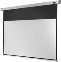 celexon Leinwand Rollo Professional 220 x 165 cm - 108`