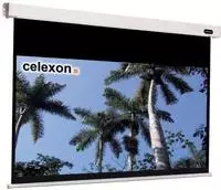 celexon 1090106, celexon Leinwand Motor Professional 300 x 169 cm