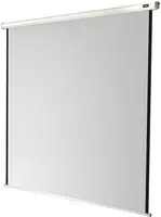 Celexon Rollo Economy 1090028 Rolloleinwand Bildformat: 1:1