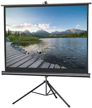 celexon Stativ Economy 244 x 183