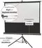 celexon Stativ Economy 244 x 183