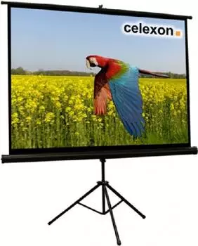 celexon Stativ Economy 176 x 132