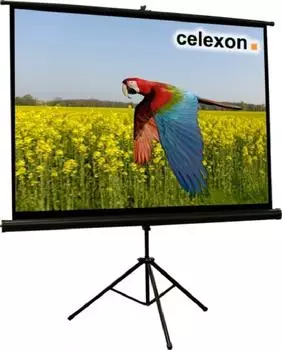 celexon Stativ Economy 158 x 118