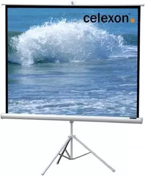 celexon Stativ Economy 244 x 244 White Edition