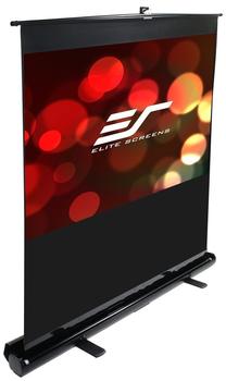 Elite Screens ezCinema F120NWV