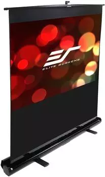 Elite Screens ezCinema F100NWH