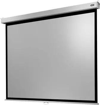celexon Rollo Professional Plus 240x180