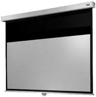 celexon Leinwand Rollo Professional Plus 240 x 135 cm - 108`