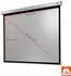 celexon Rollo Professional Plus 160x120