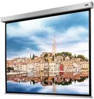 celexon Leinwand Motor Professional Plus 240 x 180 cm