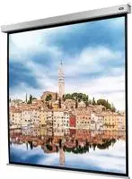 celexon Leinwand Motor Professional Plus 180 x 180 cm