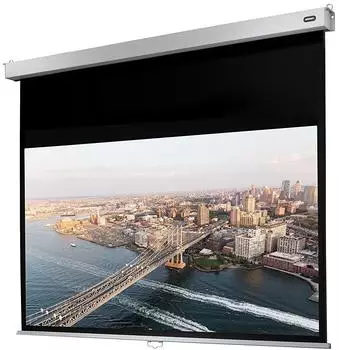 celexon Rollo Professional Plus 280x175