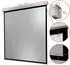 celexon Rollo Professional Plus 200x200