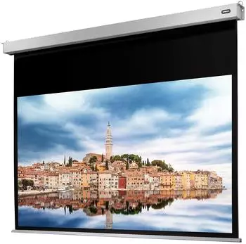 celexon Motor Professional Plus 240x135