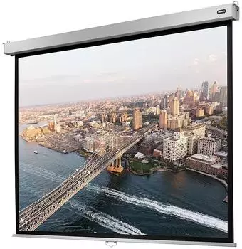 celexon Rollo Professional Plus 220x165