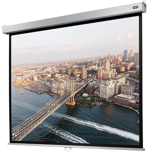 Celexon Rollo Professional Plus 220x165