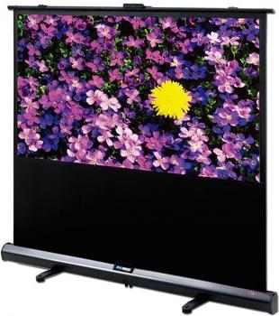 DELUXX Advanced Portable Self-Stand-X 204 x 115 cm 16:9 Polaro