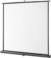celexon 1091783, celexon Leinwand Ultramobil Professional 200 x 200 cm