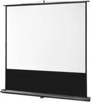 celexon 1091787, celexon Leinwand Ultramobil Professional 200 x 150 cm