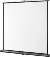 celexon 1091782, celexon Leinwand Ultramobil Professional 180 x 180 cm