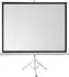 celexon Basic Mobile 200 x 200 cm