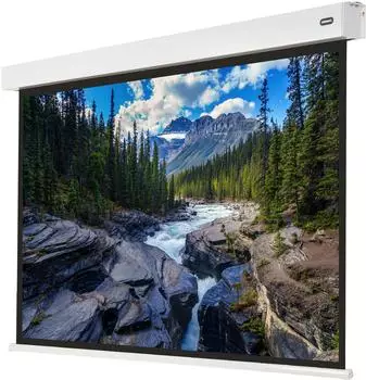celexon Batterie Leinwand V2.0 Motor Professional Plus 240 x 180