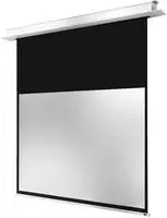 Celexon Beamer-Leinwand Motor Professional Plus, 136 Zoll, 300 x 169 cm, 16:9,