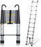 Fiqops Ausziehleiter 3,2m ( RL-HG8392-1-DCw)
