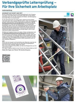 Zarges Handlauf abnehmbar 60° 7 Stufen lichte Höhe 1630mm (Zubehör & Ersatzteile für ) (42355967)