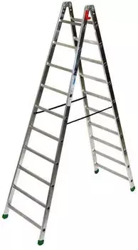 Facal Professional 1 S600 (P1-10)