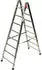 Facal Professional 1 S600 (P1-8)