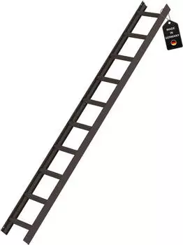 Proregal Braun 10 Sprossen braun Aluminium PR_RMG105-05