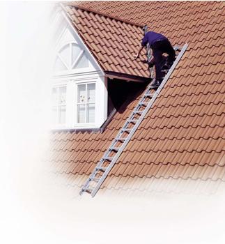 Euroline Premium Dachauflegeleiter anthrazit (3240114)
