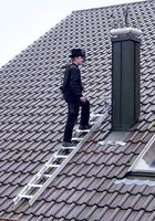 Dachleiter, 15 Sprossen, Anthrazit-grau