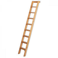 ILLER-LEITER Stufenanlegeleiter Holz 2509-7