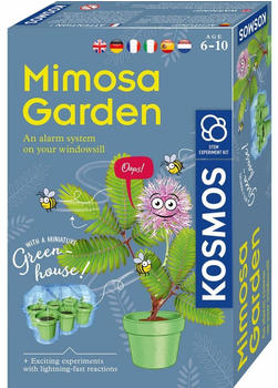 Kosmos Mimosen Garten (616809)