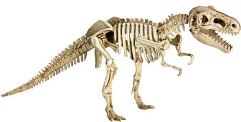 Die Spiegelburg 18857 Ausgrabungs- & Gips-Set T-Rex - T-Rex World