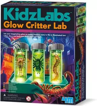 4M KidzLabs Leuchtinsekten-Labor STEM-Experimentierkasten (403469)
