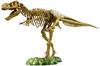EDU-Toys Tyrannosaurus Rex (VT026)