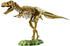 EDU-Toys Tyrannosaurus Rex (VT026)