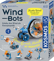 KOSMOS 621056, KOSMOS 621056 Wind Bots