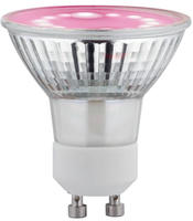 Paulmann - Led-pflanzenlampe Wachstum 230 V Gu10 3.5 W Bernstein 1 St.