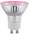 Paulmann LED-Pflanzenlampe Wachstum 230V GU10
