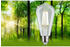 Paulmann 29122 LED EEK A (E27 4W Warmweiß (Ø x H) 64mm x 140mm 1St.