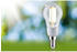 Paulmann 29130 LED EEK A (E14 2.5W Warmweiß (Ø x H) 45mm x 100mm 1St.